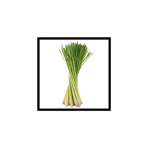 Huile Essentielle de Lemongrass