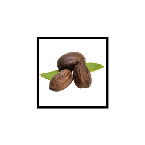 Huile Végétale de Jojoba
