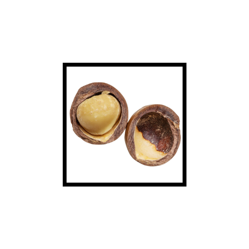 Huile Végétale de Macadamia