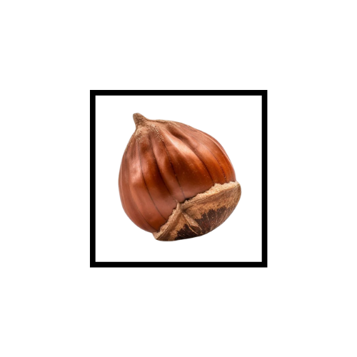 Huile Végétale de Noisette