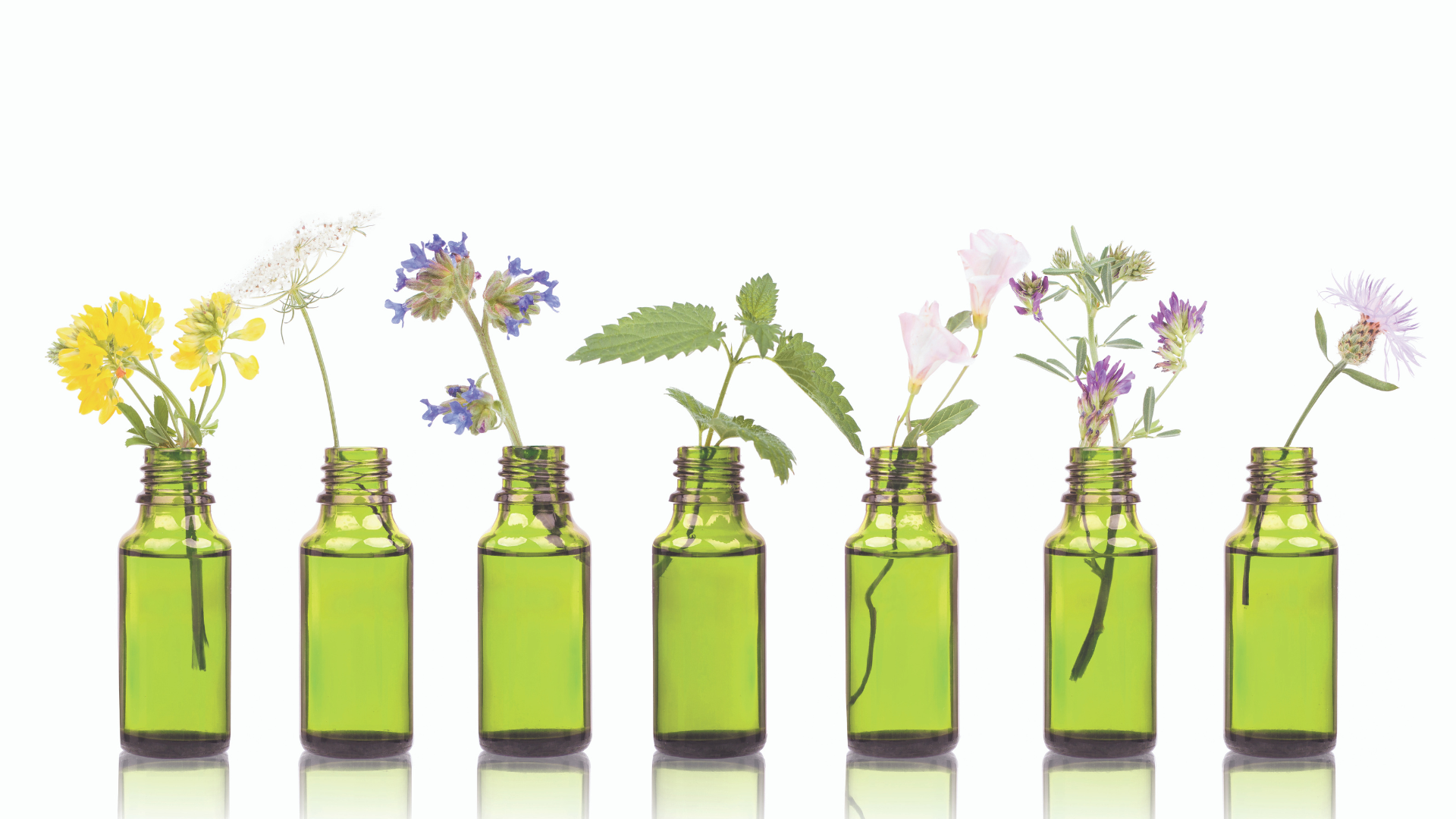 aime en-tête qui représente des bocaux avec des fleurs différentes à l'intérieur de ceux-ci